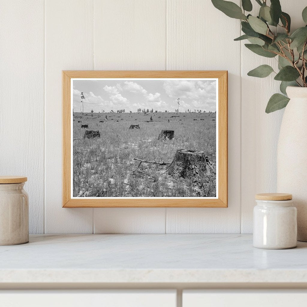 Vintage Longleaf Pine Forest Kiln Mississippi 1937 - Available at KNOWOL
