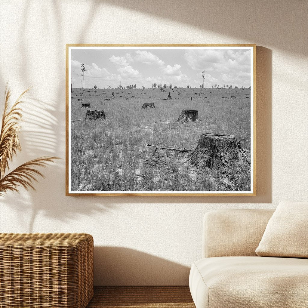 Vintage Longleaf Pine Forest Kiln Mississippi 1937 - Available at KNOWOL