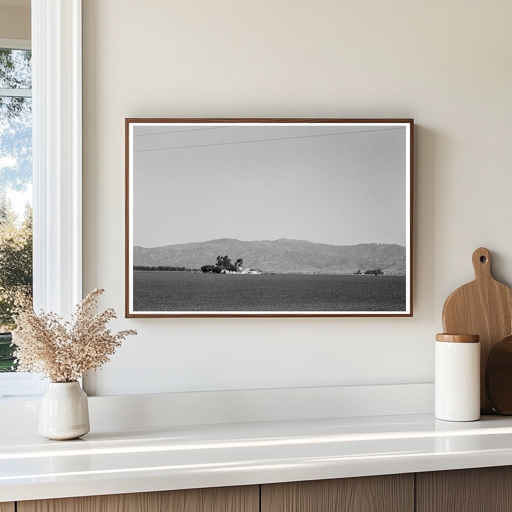 Vintage Pea Farm King City California February 1939 - Available at KNOWOL