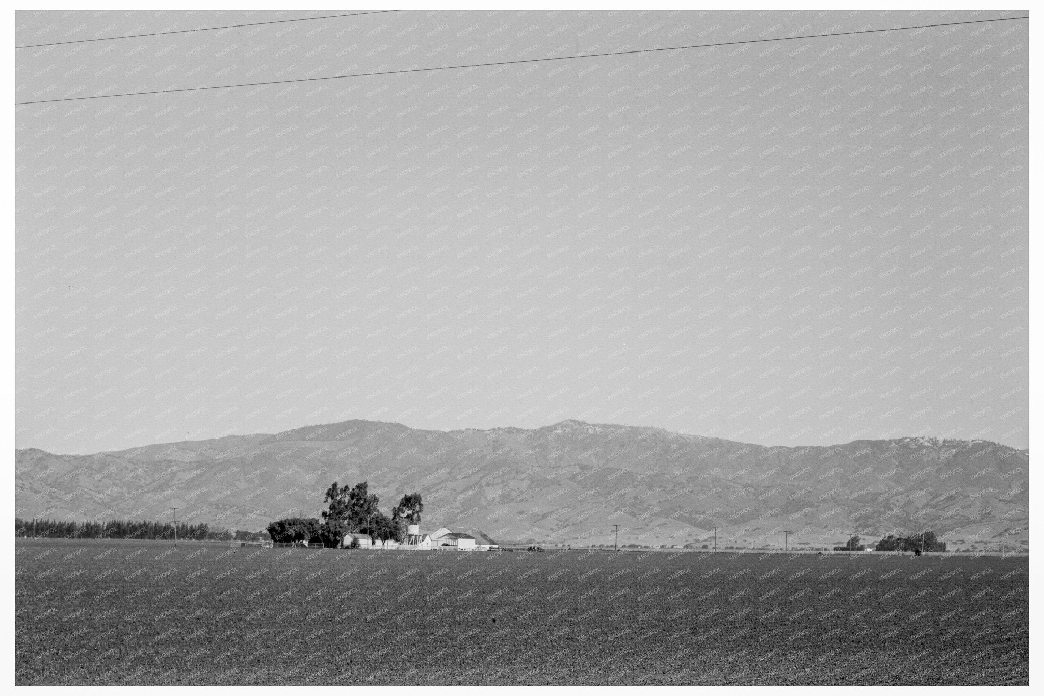 Vintage Pea Farm King City California February 1939 - Available at KNOWOL