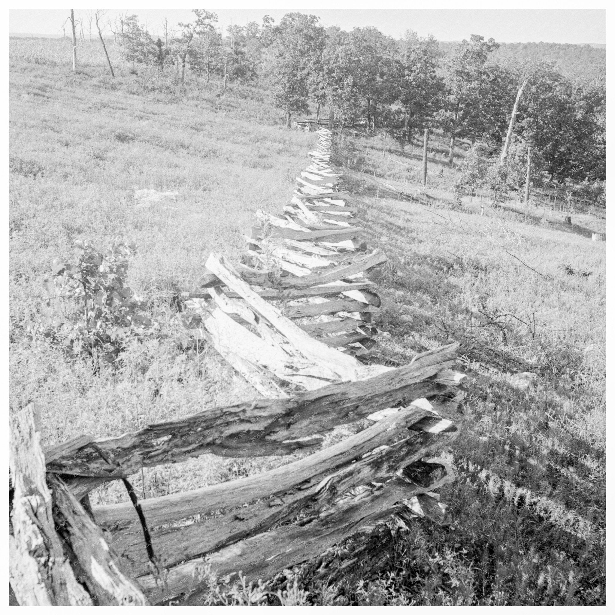 Vintage Split - Log Fence North Central Arkansas 1938 - Available at KNOWOL