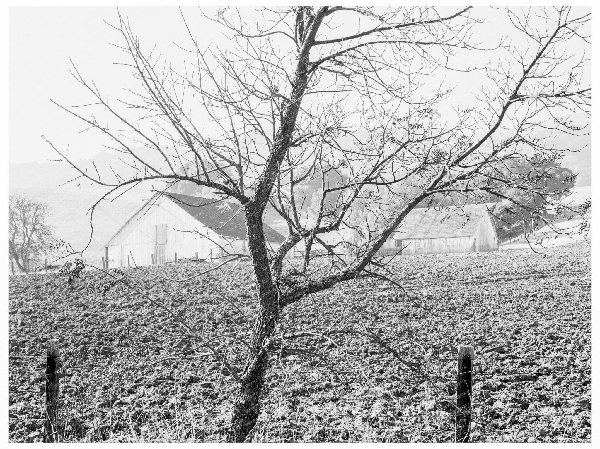 Vintage Stock Ranch Plowed Field California 1938 - Available at KNOWOL