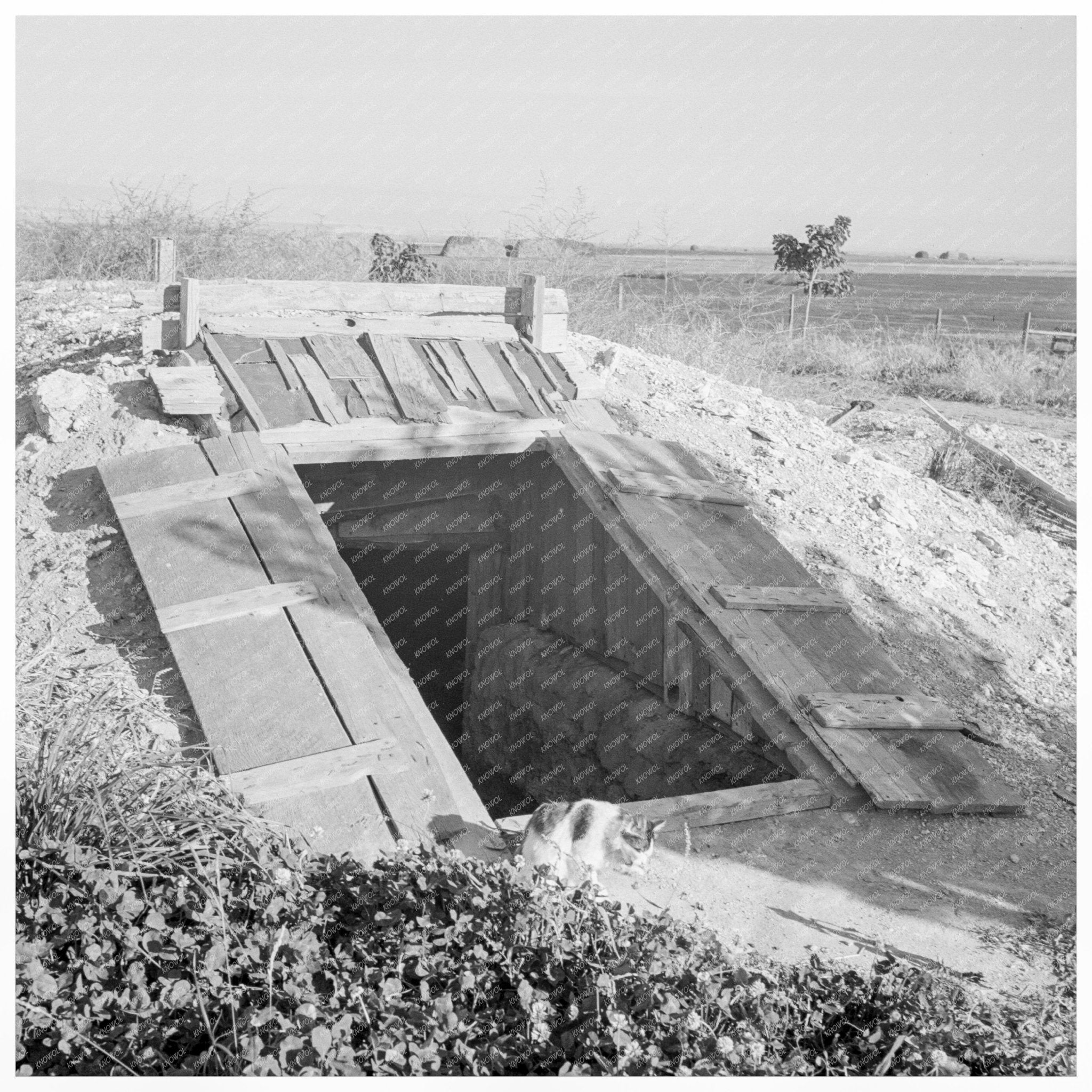 Vintage Storage Cellar Dead Ox Flat Oregon 1939 - Available at KNOWOL