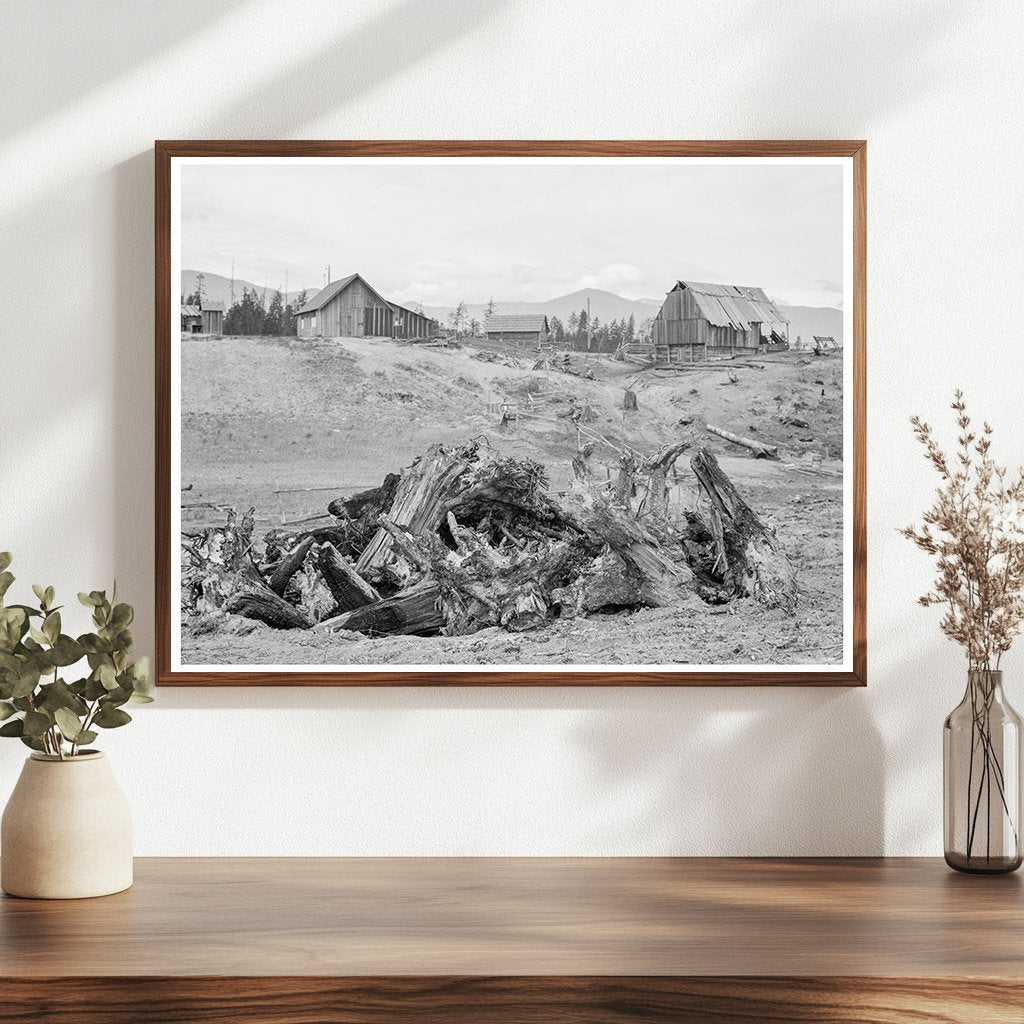 Vintage Stump Pile for Burning at Unruf Farm Idaho 1939 - Available at KNOWOL
