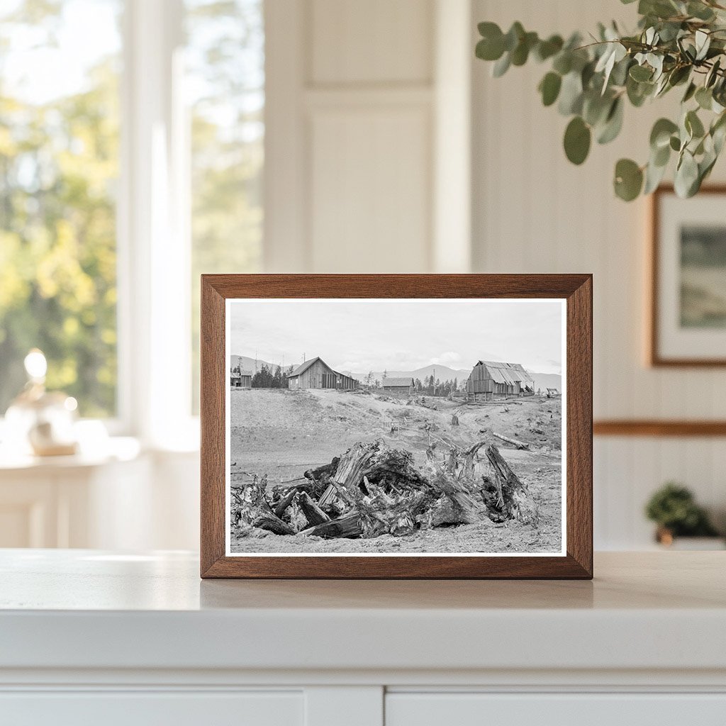 Vintage Stump Pile for Burning at Unruf Farm Idaho 1939 - Available at KNOWOL