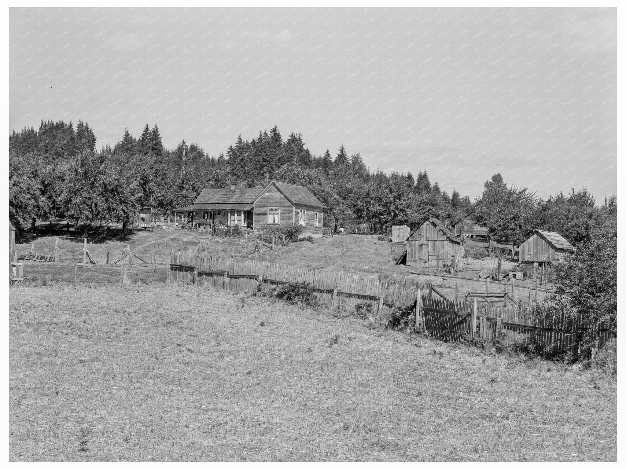 Vintage Subsistence Farm Grays Harbor County 1939 - Available at KNOWOL