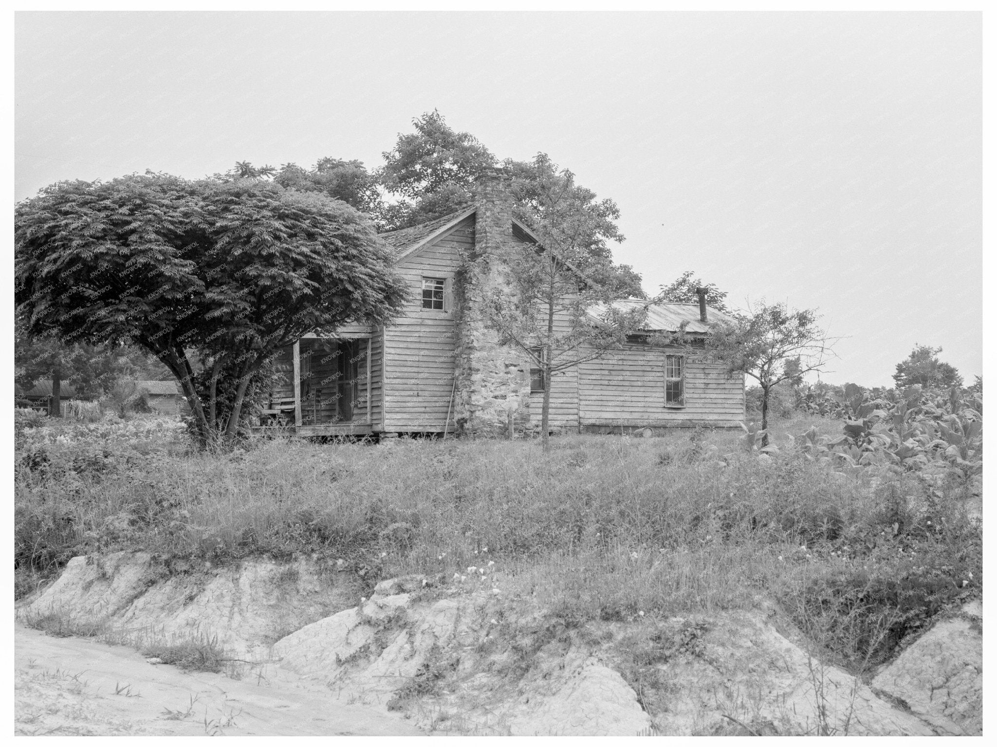 Vintage Weatherboard House in North Carolina July 1939 - Available at KNOWOL