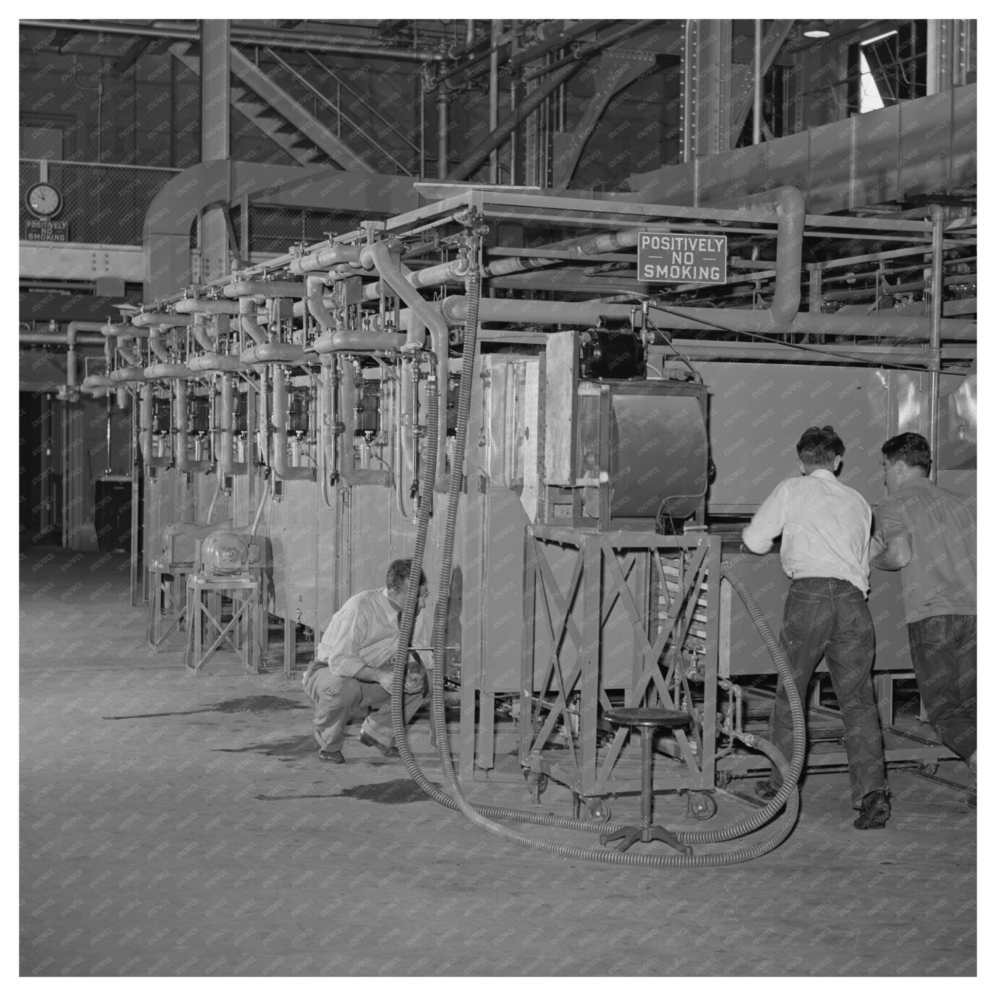 Workers Charging Tunnel Dehydrator June 1942 Albany CA - Available at KNOWOL