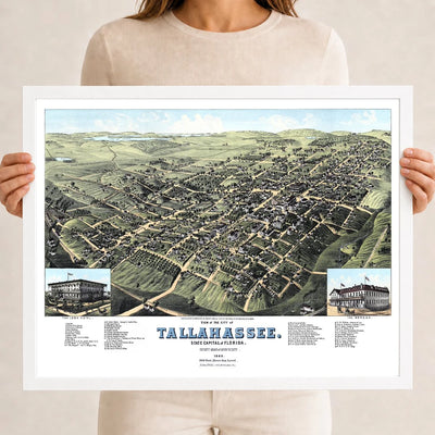 Restored colorized 1885 bird’s-eye view map of Tallahassee, Florida, showing the Capitol, University of Florida, State Seminary, Lincoln Academy, Leon Hotel, The Morgan, churches, railroads, homes, farms, and surrounding Leon County countryside.