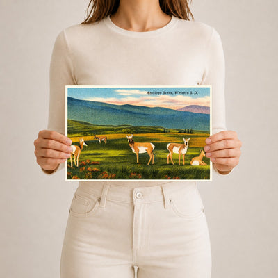 SD: Antelope scene, Western S. D.