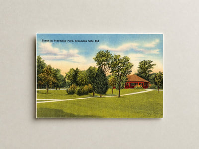 Scene in Pocomoke Park, Pocomoke City, MD — Vintage Maryland Postcard