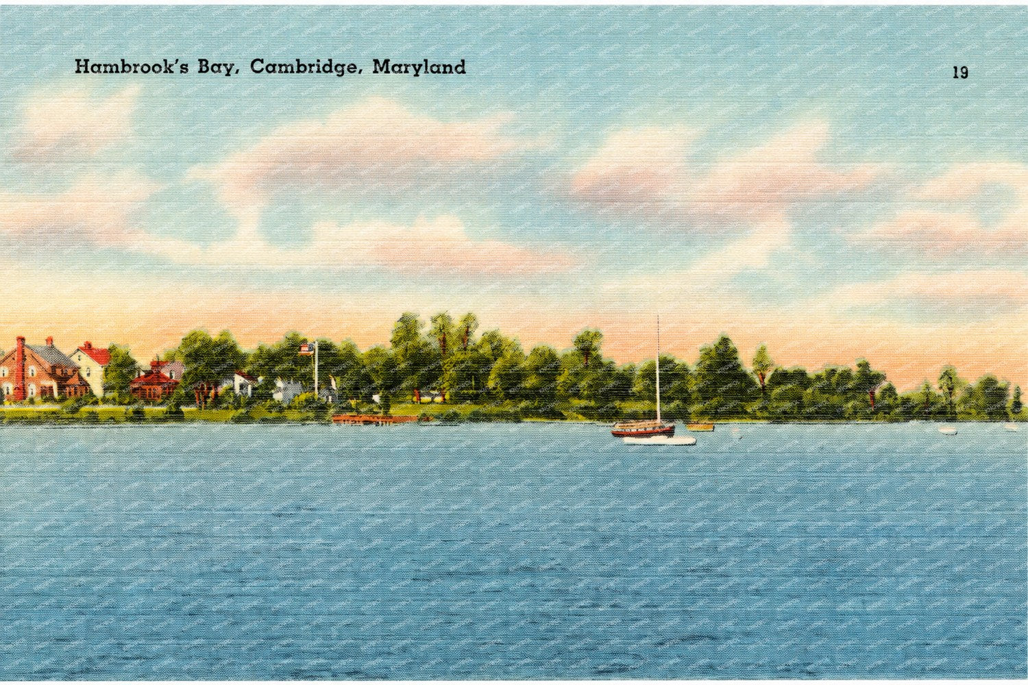 Humbrook's Bay, Cambridge, Maryland — Vintage Maryland Postcard