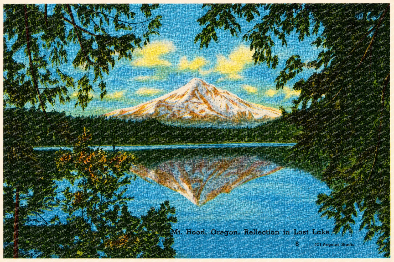 Hood, Mount, OR: Mt. Hood, Oregon, reflection in Lost Lake