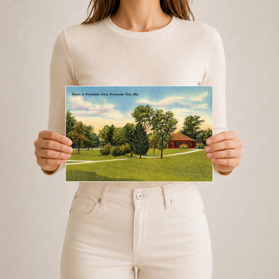 Scene in Pocomoke Park, Pocomoke City, MD — Vintage Maryland Postcard