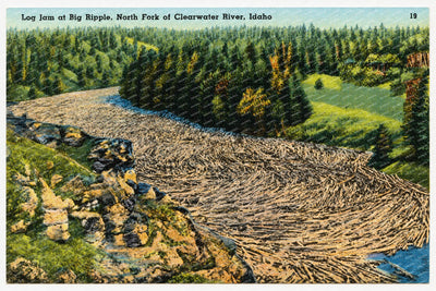 Clearwater, ID: Log jam at Big Ripple, North Fork of Clearwater River