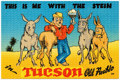 Tucson, AZ: This is me with the stein in Tucson