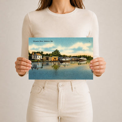 Wicomico River, Salisbury, MD — Vintage Maryland Postcard