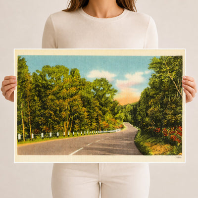 Winding road — Vintage Maryland Postcard