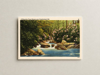 A mountain trout stream near Cumberland, MD — Vintage Maryland Postcard