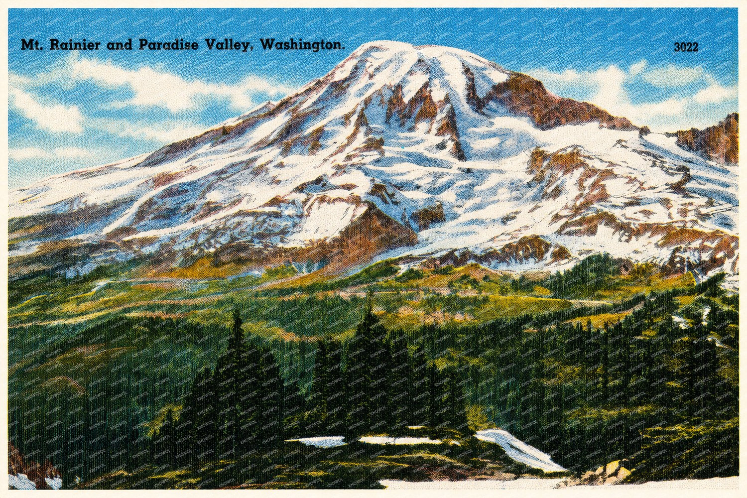 Paradise Valley, WA: Mt. Rainier and Paradise Valley