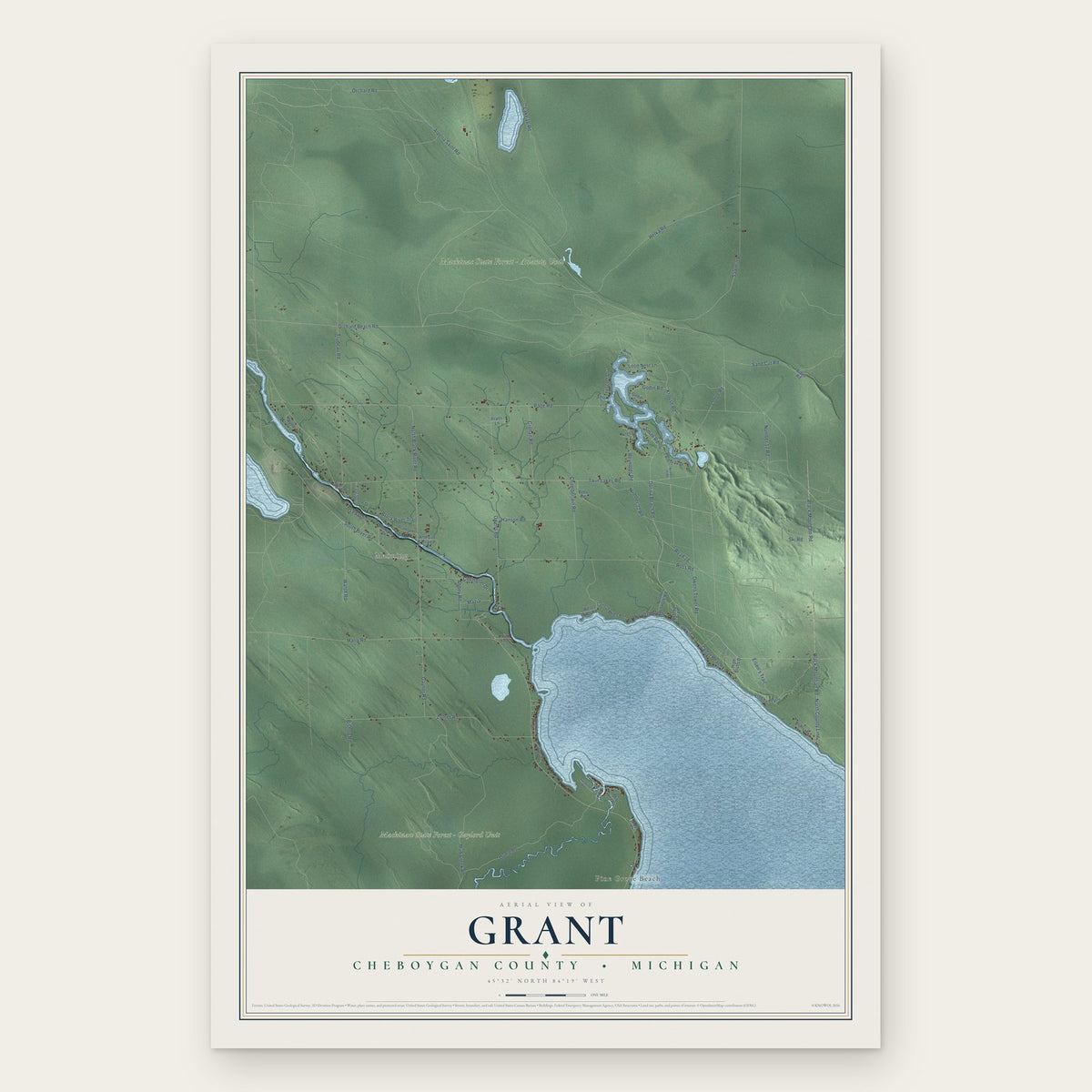 Grant, Cheboygan County, Michigan map print, the full design