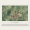 Livingston, California map print, the full design