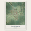 Table Grove, Illinois map print, the full design