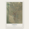 Corona, New Mexico map print, the full design