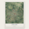 Live Oak, Florida map print, the full design