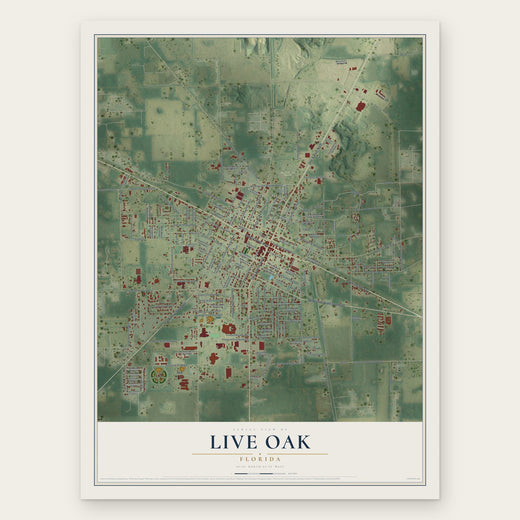 Live Oak, Florida map print, the full design