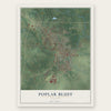 Poplar Bluff, Missouri map print, the full design