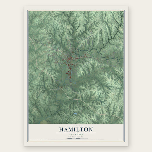 Hamilton, Alabama map print, the full design