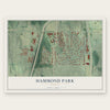 Hammond Park, Georgia map print, the full design