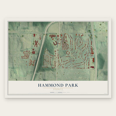 Hammond Park, Georgia map print, the full design