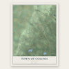 Town of Coloma, Wisconsin map print, the full design