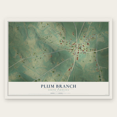 Plum Branch, South Carolina map print, the full design