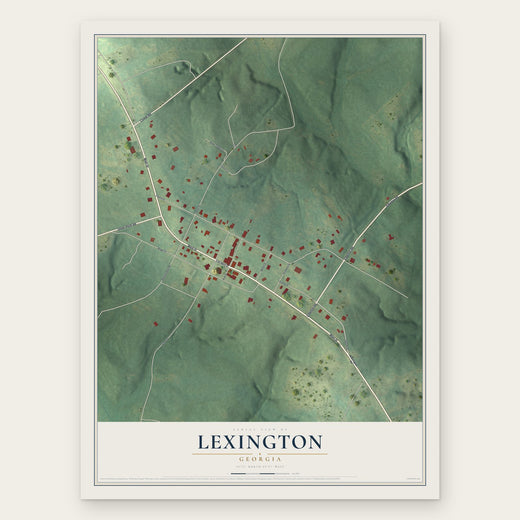 Lexington, Georgia map print, the full design