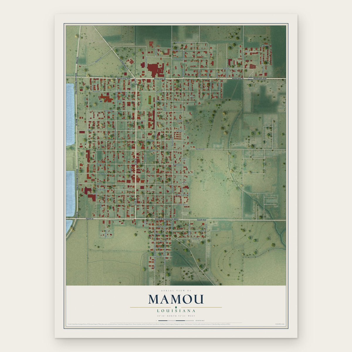 Mamou, Louisiana map print, the full design