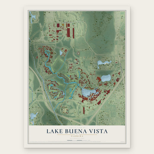 Lake Buena Vista, Florida map print, the full design