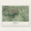 Mokena, Illinois map print, the full design