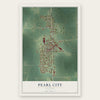 Pearl City, Illinois map print, the full design