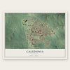 Caledonia, Minnesota map print, the full design