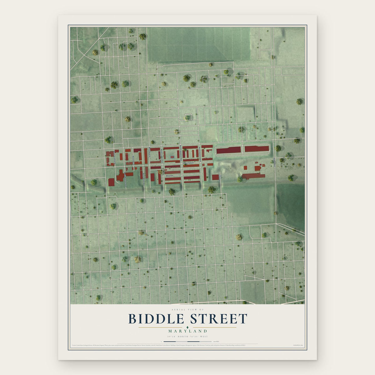 Biddle Street, Maryland map print, the full design