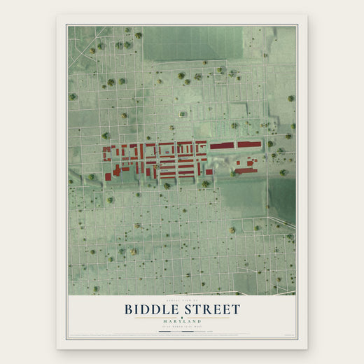 Biddle Street, Maryland map print, the full design