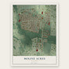 Moline Acres, Missouri map print, the full design