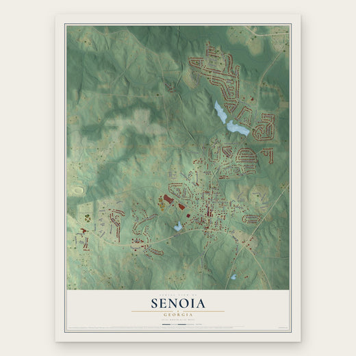 Senoia, Georgia map print, the full design