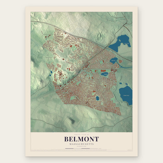 Belmont, Massachusetts map print, the full design