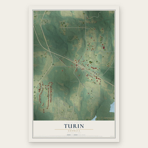 Turin, Georgia map print, the full design