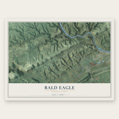 Bald Eagle, Pennsylvania map print, the full design