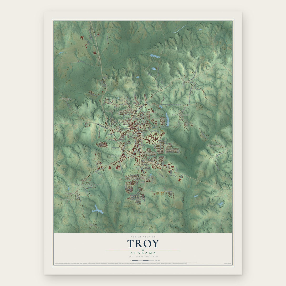 Troy, Alabama map print, the full design